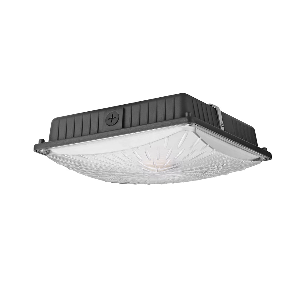 led canopy light